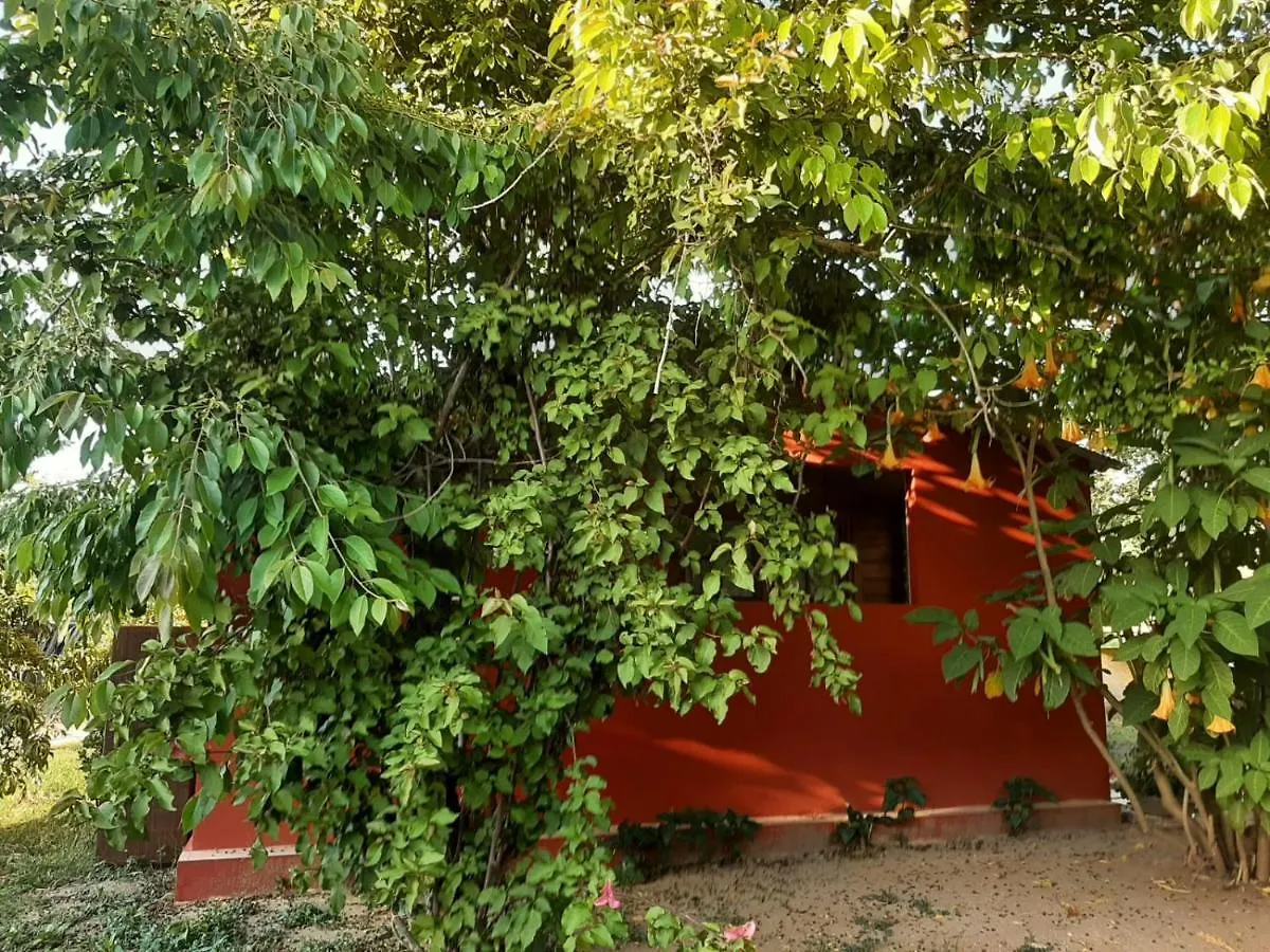 Casa Di Campagna Dal Pozzo Sorso