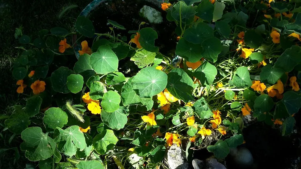 Casa Di Campagna Dal Pozzo Sorso